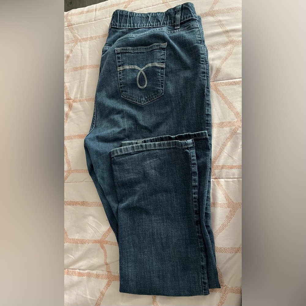 Riders by Lee, Women’s Plus Size Straight-Legged 18W Blue Jeans